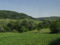 siebenbuergenreise-2011-193 siebenbuergenreise-2011-193